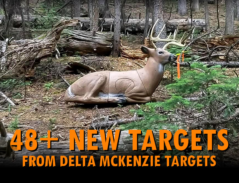 60+ New Targets at the Sunrise 3D Archery Shootout